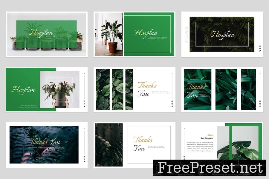 Hosplan Minimalism Tropical Google Slides Template 9QGASXV