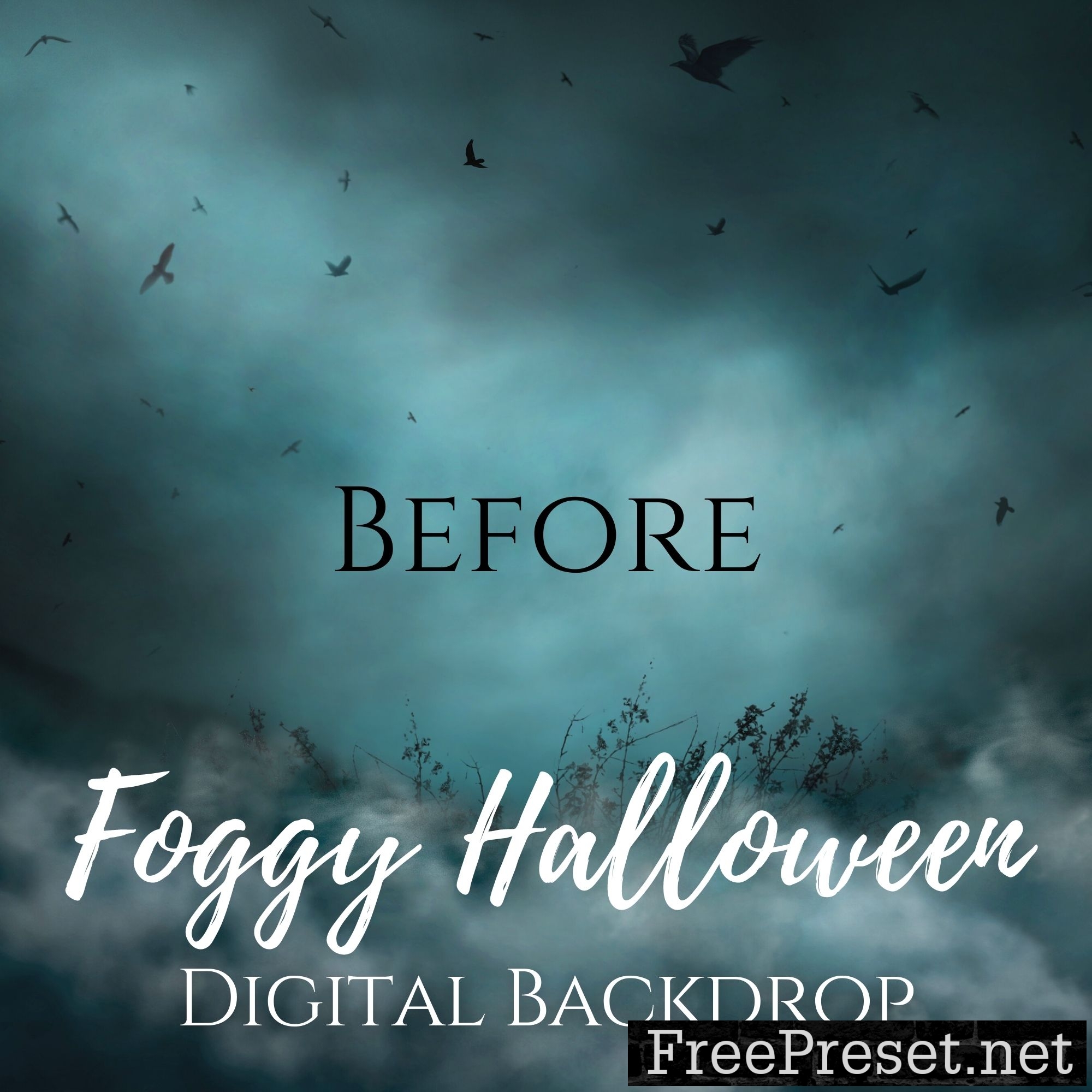 Jessica Drossin - Foggy Halloween Background Overlays