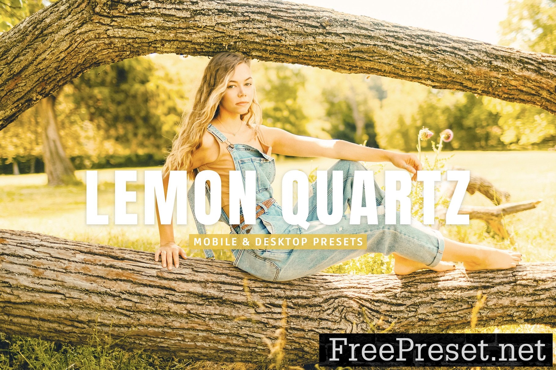 Lemon Quartz Pro Lightroom Presets 10308267