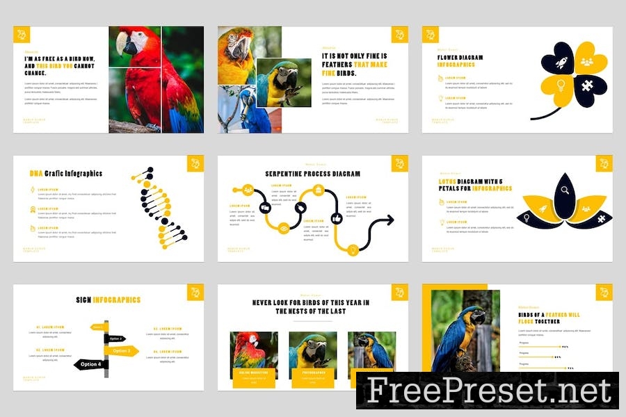 Mabur - Bird Animal Google Slides Template 9342DQE