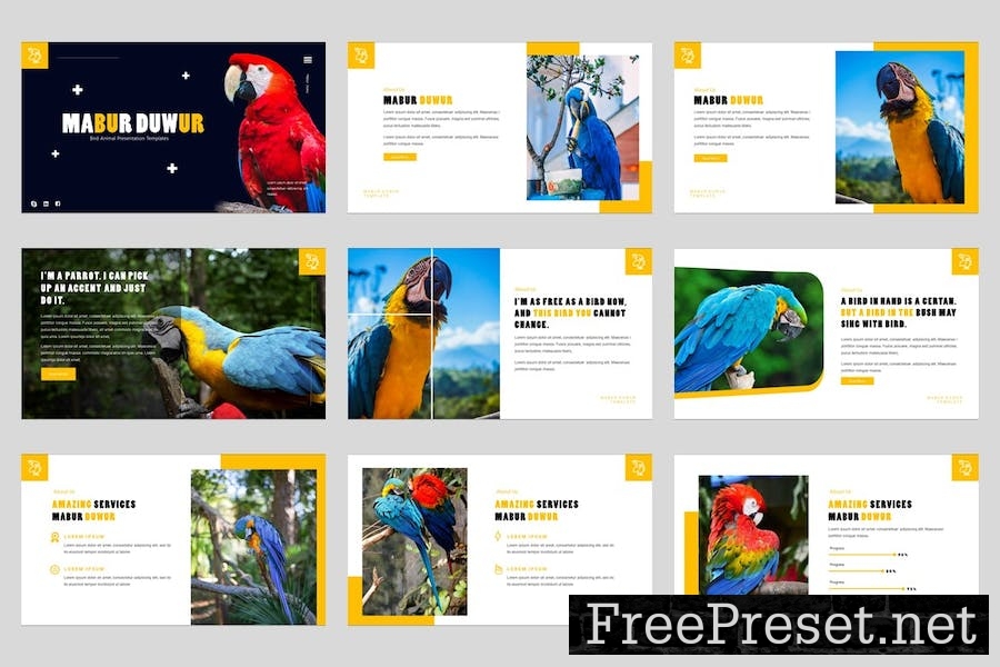 Mabur - Bird Animal Google Slides Template 9342DQE