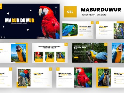 Mabur - Bird Animal Google Slides Template 9342DQE