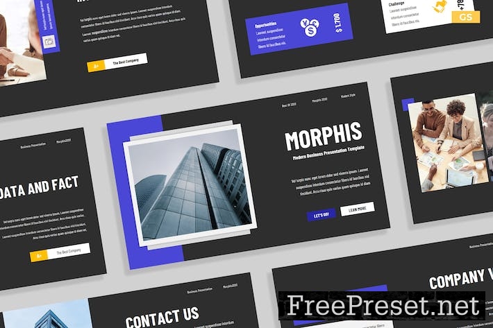 Modern Gray Blue Company Profile Presentation 008