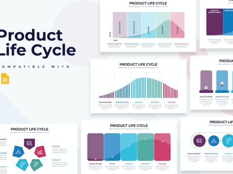 Product Life Cylce Google Slides Infographics G779JMY