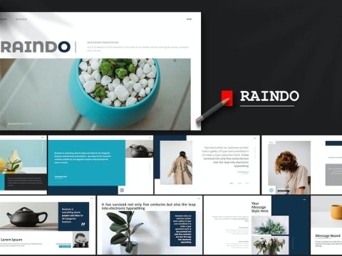 Raindo - Google Slides 43Q8255