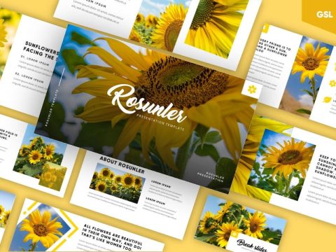 Rosunle Minimalism Tropical Google Slides Template