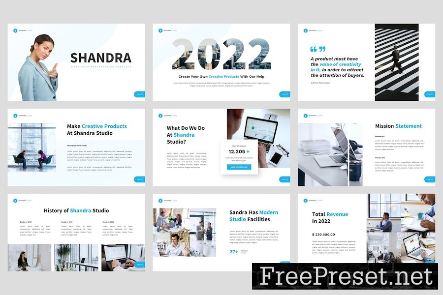 Shandra - Pitch Deck Google Slides Template ERLPD4P