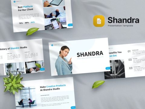 Shandra - Pitch Deck Google Slides Template ERLPD4P