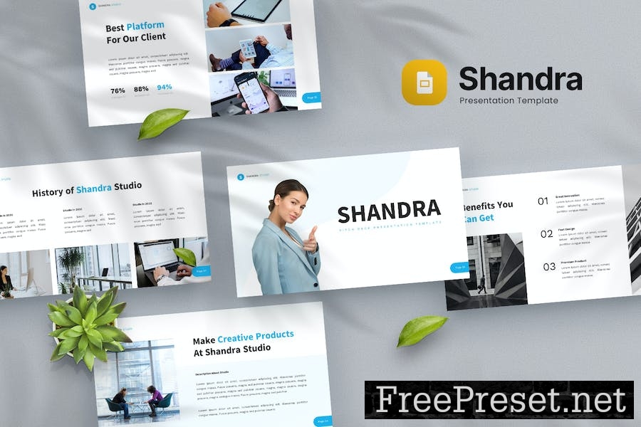 Shandra - Pitch Deck Google Slides Template ERLPD4P