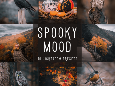 Spooky Mood LIMITED Lightroom Presets Pack