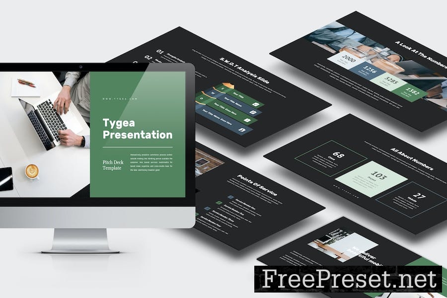 Tygea : Pitch Deck Business Google Slides Template V32QTK2