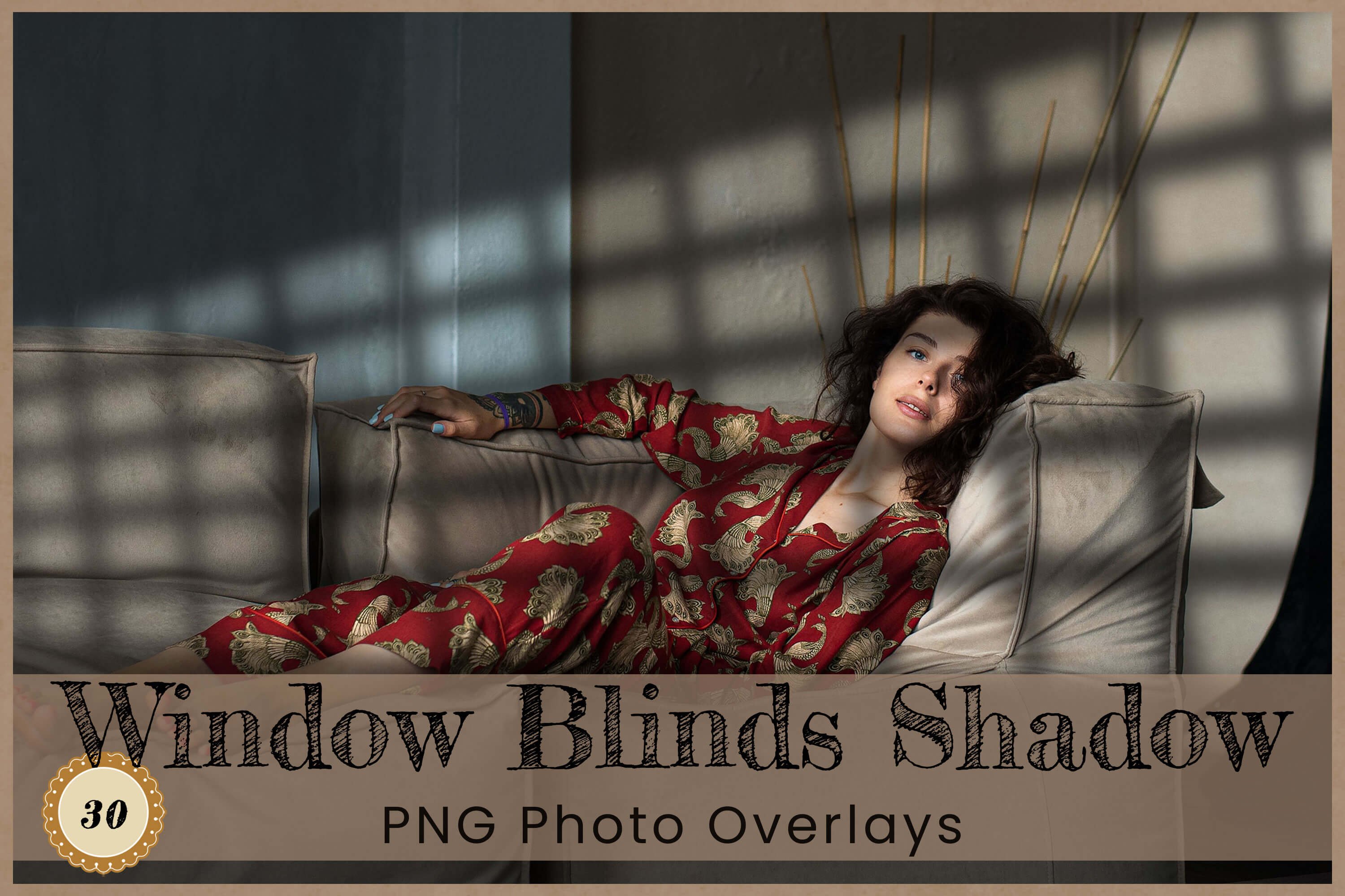 Window Blinds Shadow Photo Overlays 10293423