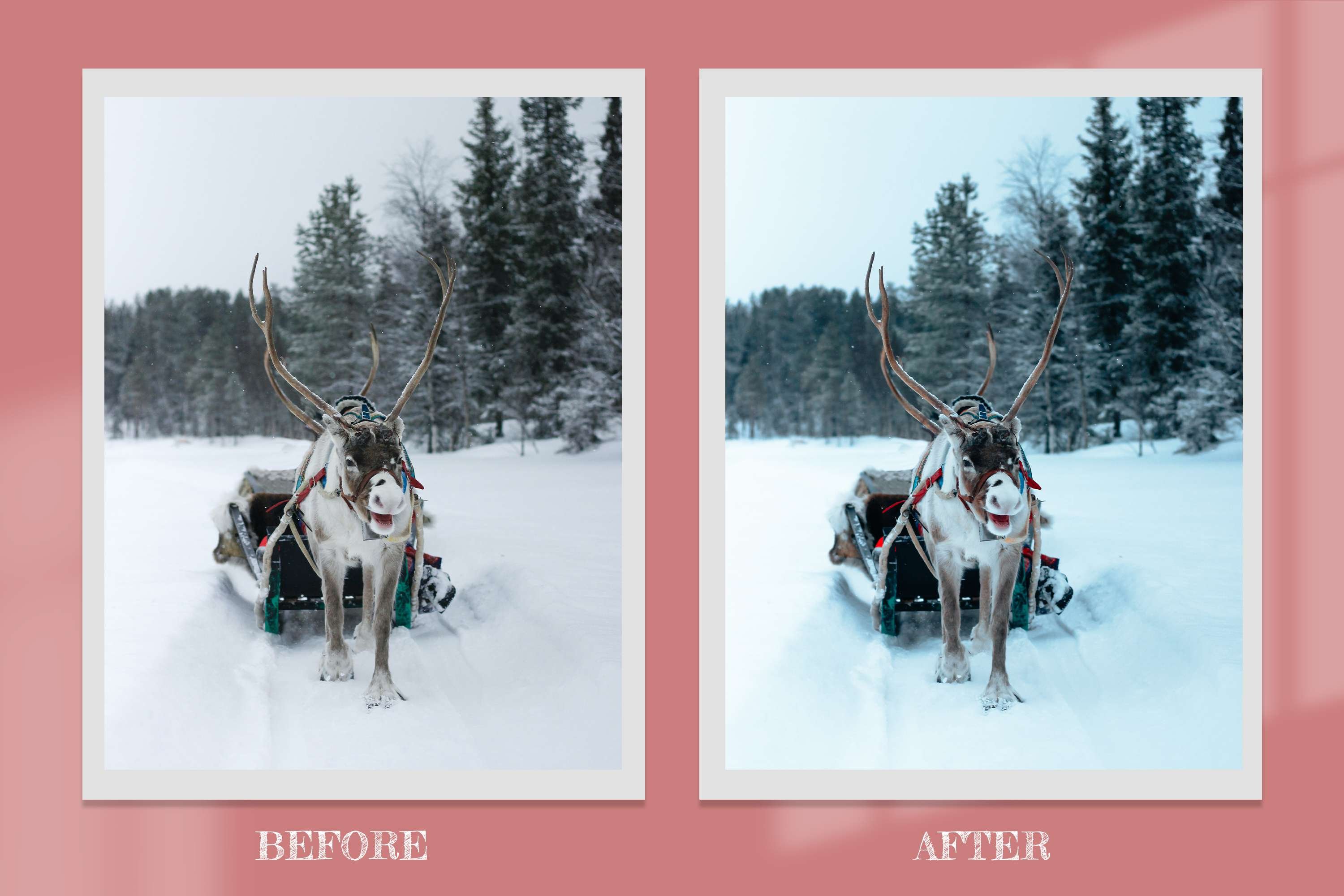 10 New Year Lightroom Presets & LUTs 10861066