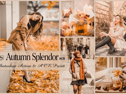 12 Autumn Splendor Lightroom Presets