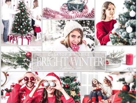 12 Bright Winter Lightroom Preset