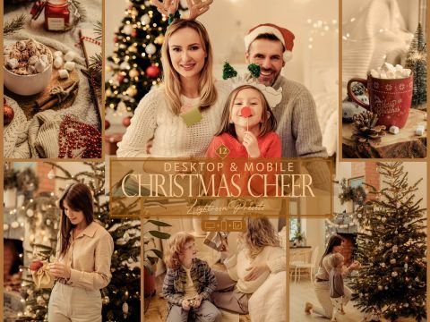 12 Christmas Cheer Lightroom Presets