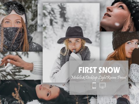 12 First Snow Lightroom Presets