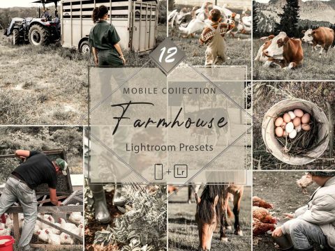 12 Mobile Lightroom Presets, Farmhouse