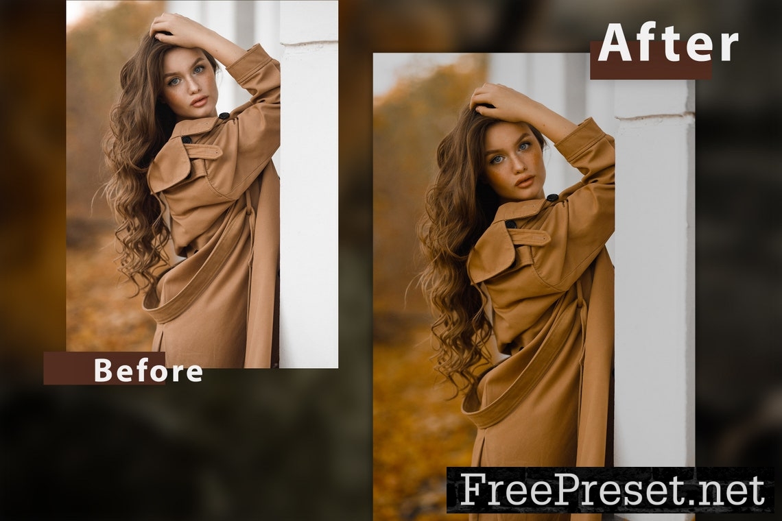 12 Shade of Autumn Lightroom Presets and Actions Ps