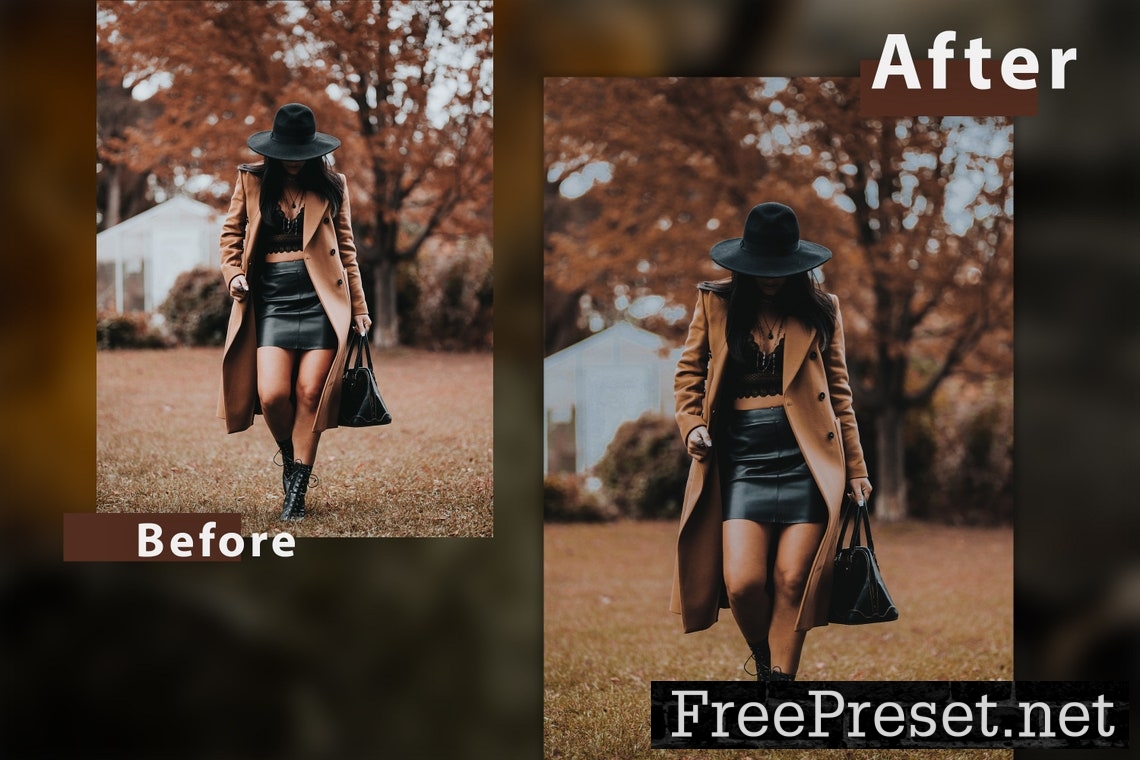 12 Shade of Autumn Lightroom Presets and Actions Ps