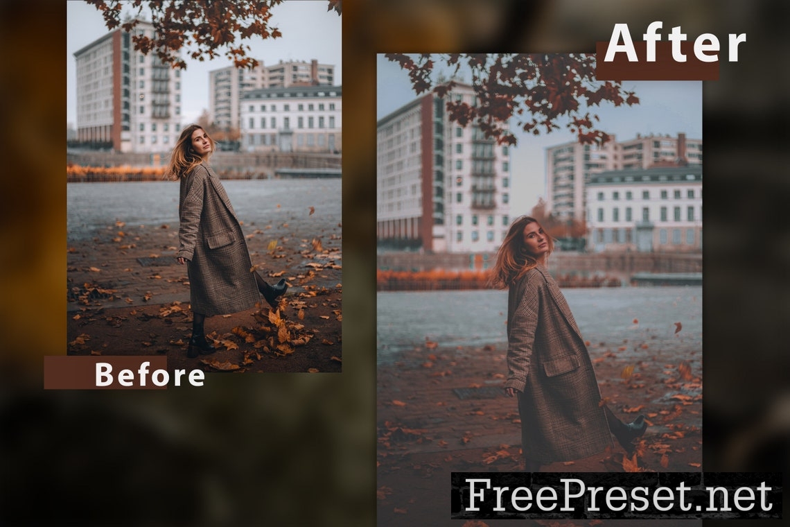 12 Shade of Autumn Lightroom Presets and Actions Ps