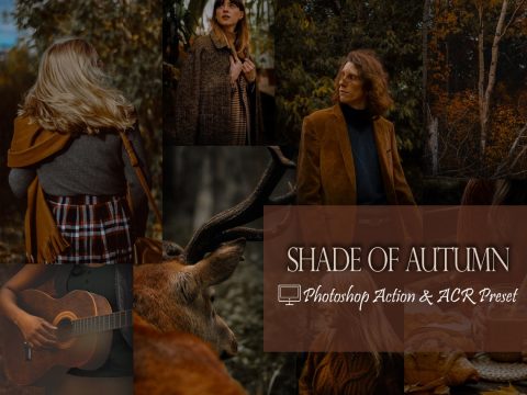 12 Shade of Autumn Lightroom Presets and Actions Ps