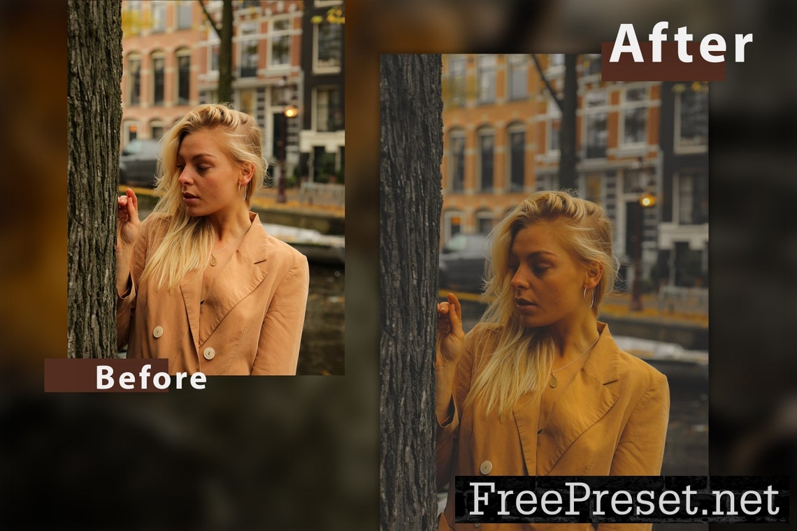 12 Shade of Autumn Lightroom Presets and Actions Ps