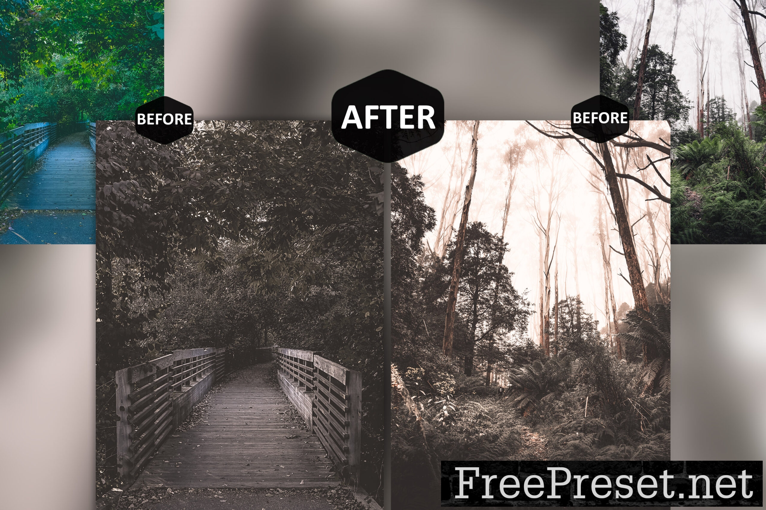 12 the Lost Soul Lightroom Presets