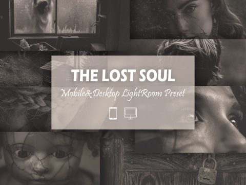 12 the Lost Soul Lightroom Presets