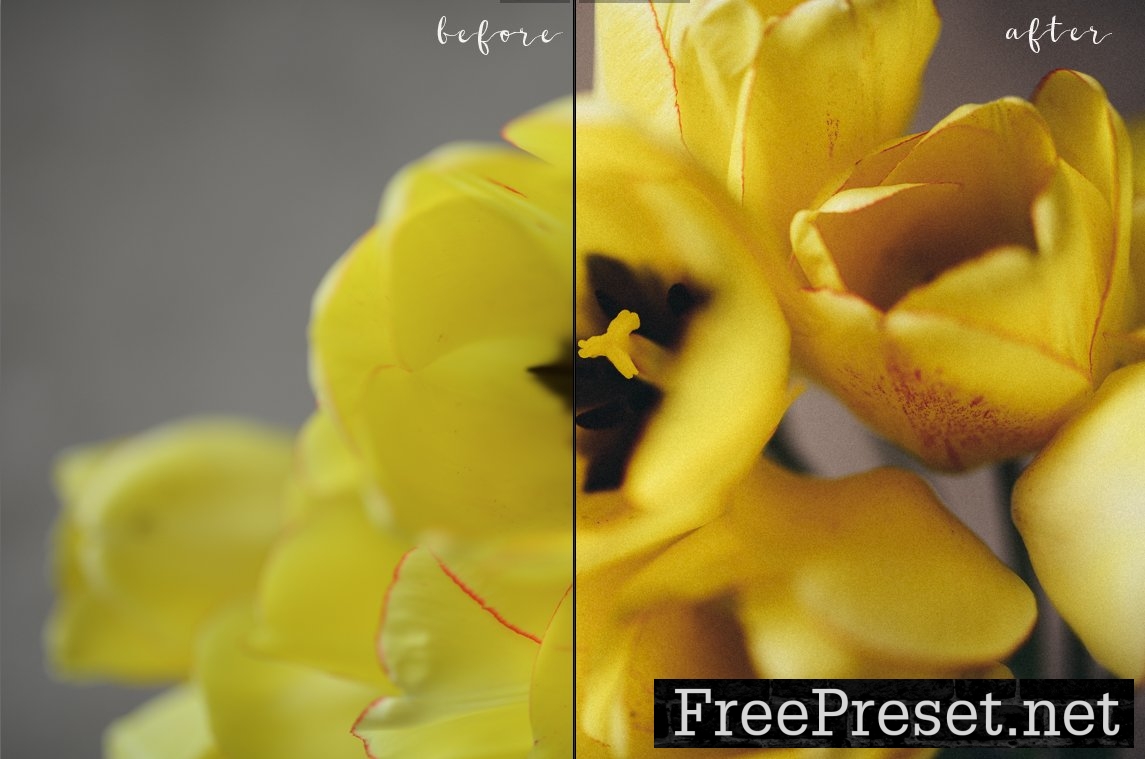 9 FILM presets for lightroom