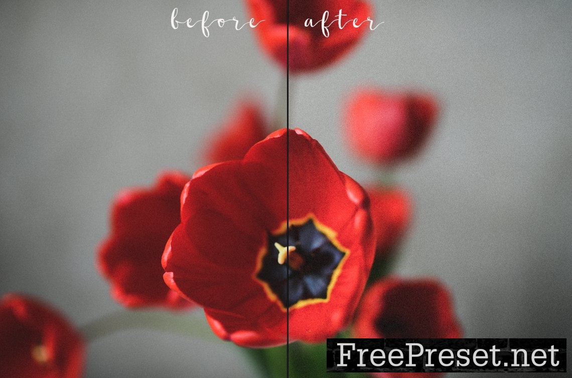 9 FILM presets for lightroom