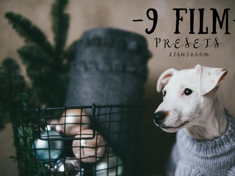 9 FILM presets for lightroom