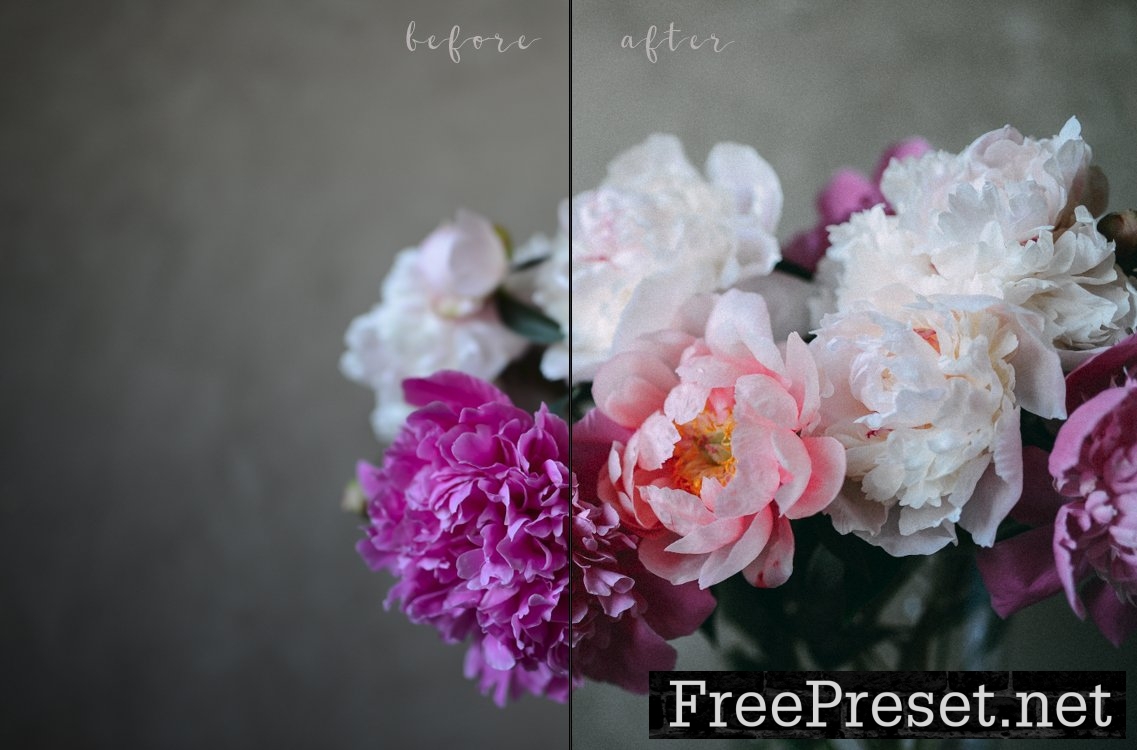 9 FILM presets for lightroom