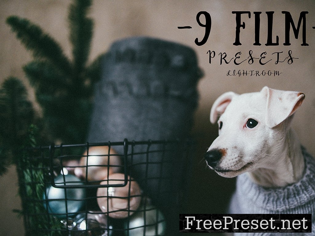 9 FILM presets for lightroom