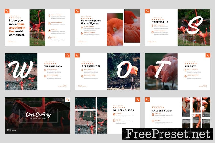 Angsa - Bird Animal Keynote Template 765QMNH