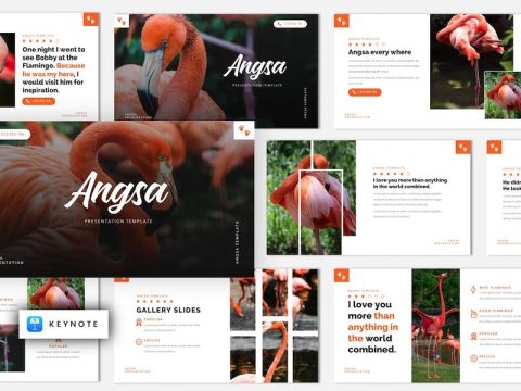 Angsa - Bird Animal Keynote Template 765QMNH