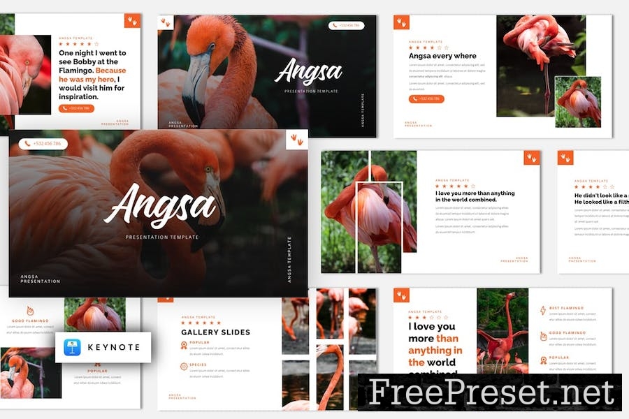 Angsa - Bird Animal Keynote Template 765QMNH