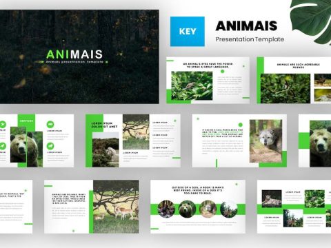 Animais - Animals Keynote Template MWNYUPA