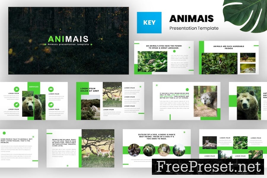 Animais - Animals Keynote Template MWNYUPA