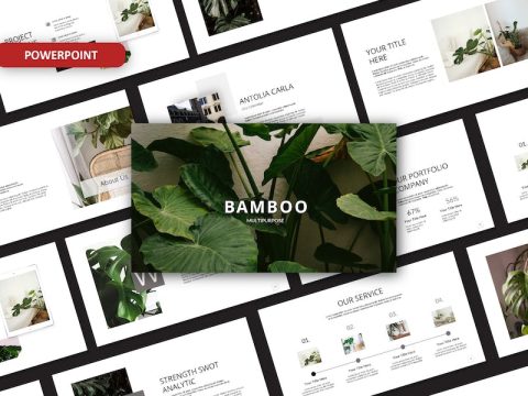 Bamboo Powerpoint Template 8BFK4BC