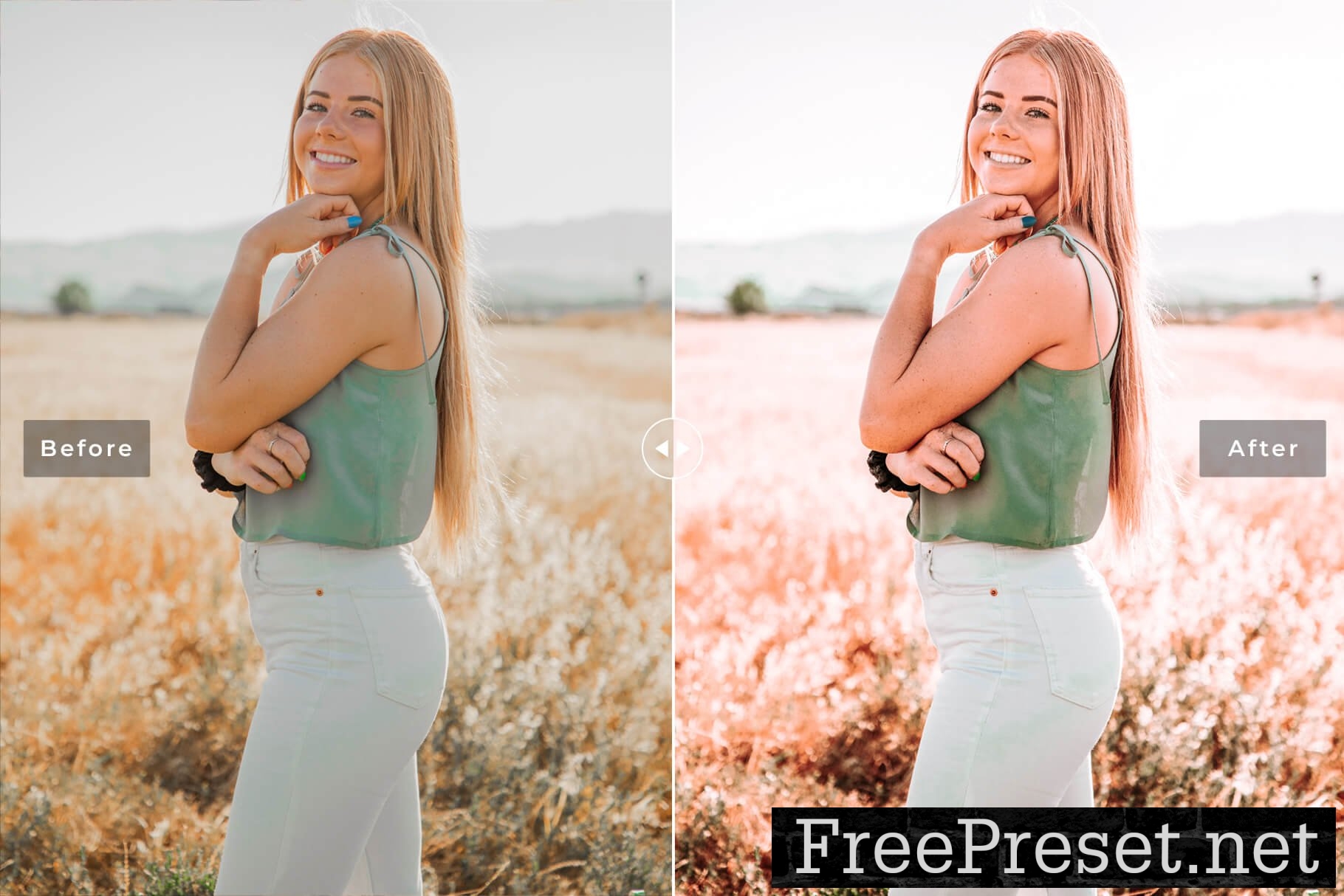 Brookite Pro Lightroom Presets 10853048