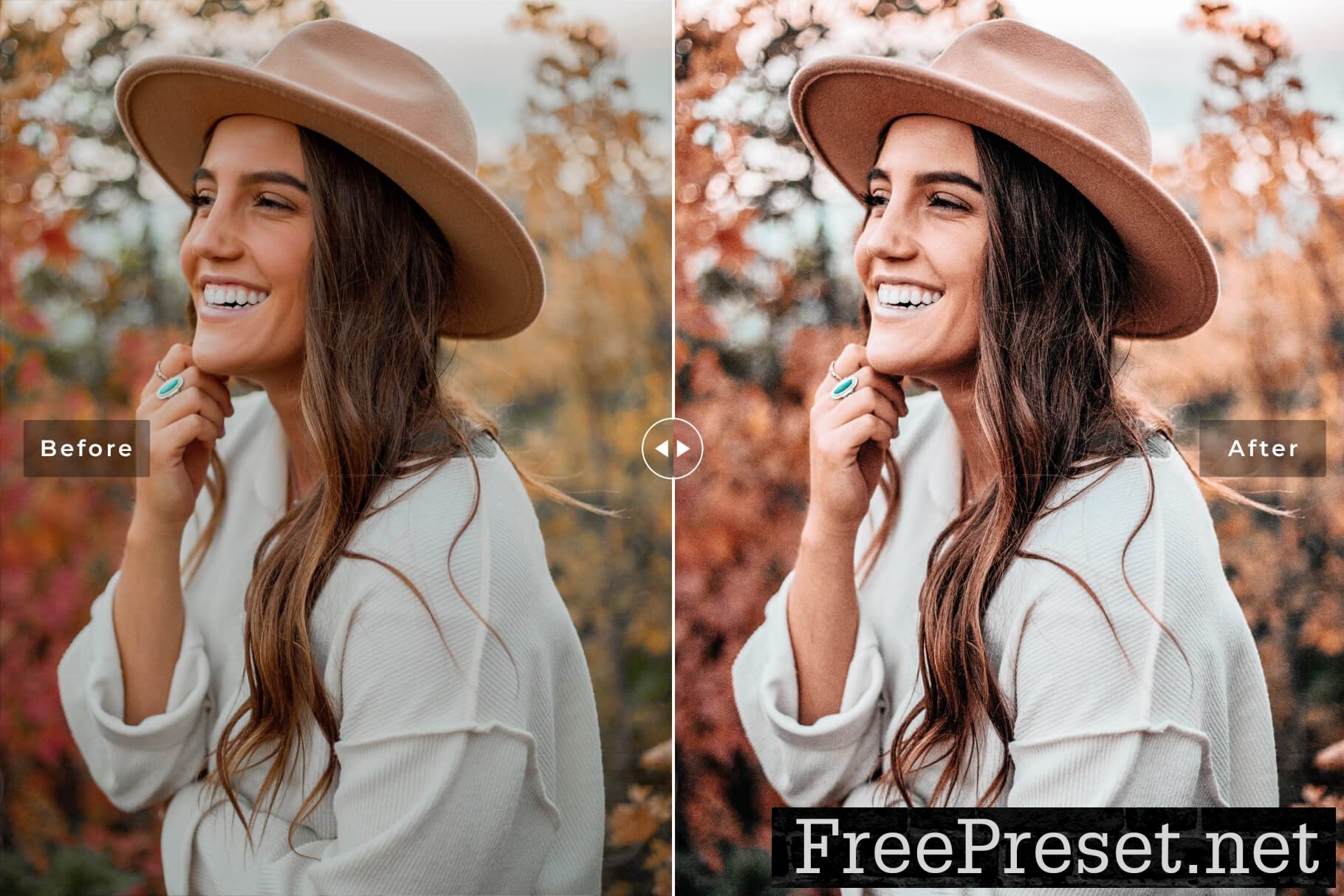 Brookite Pro Lightroom Presets 10853048