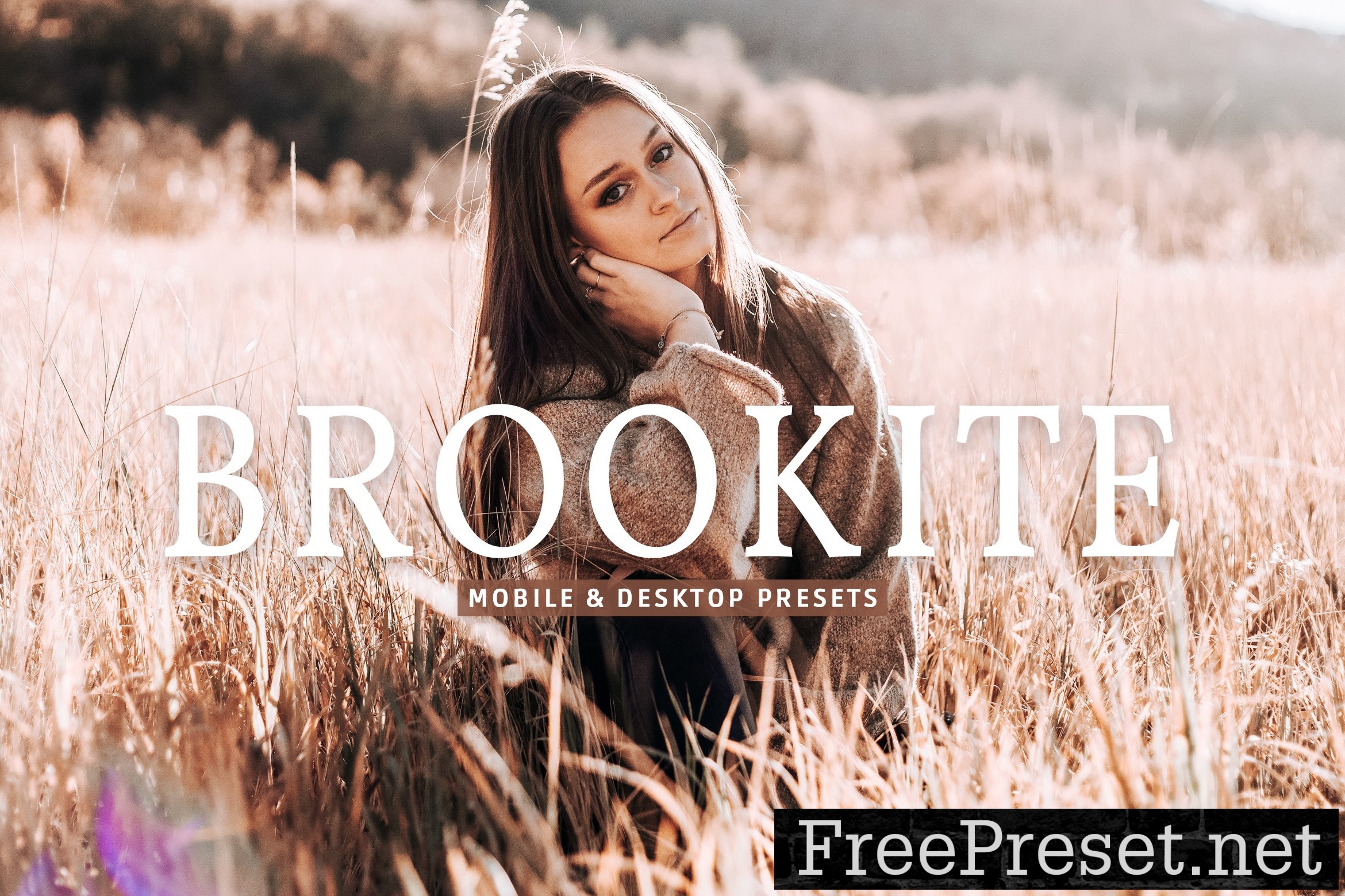 Brookite Pro Lightroom Presets 10853048