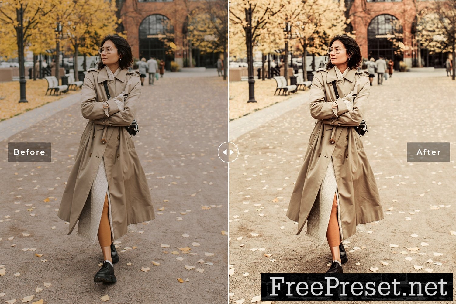 Brown Agate Pro Lightroom Presets 10846734