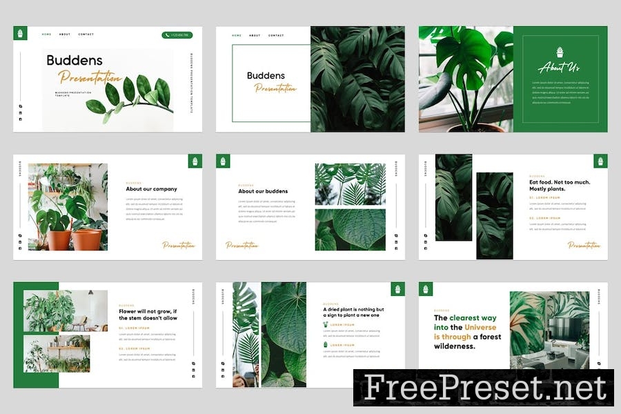 Buddens - Minimalism Tropical Keynote Template 6PFZ27H