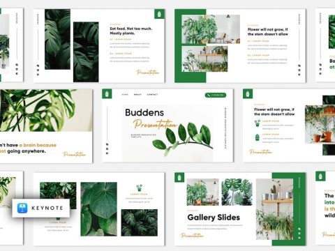 Buddens - Minimalism Tropical Keynote Template 6PFZ27H