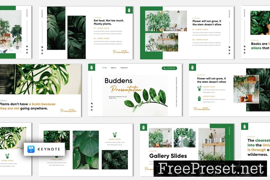 Buddens - Minimalism Tropical Keynote Template 6PFZ27H