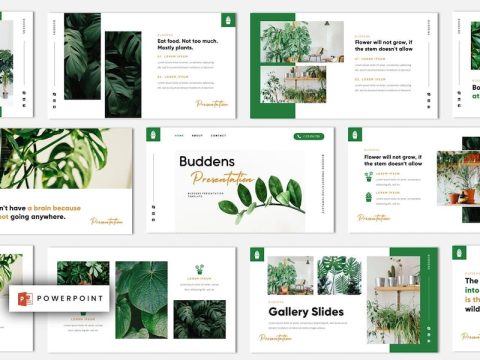 Buddens - Minimalism Tropical Powerpoint Template 85ZXQGZ