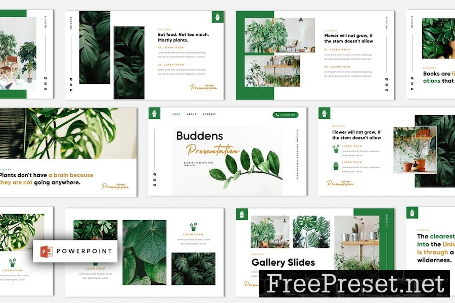 Buddens - Minimalism Tropical Powerpoint Template 85ZXQGZ