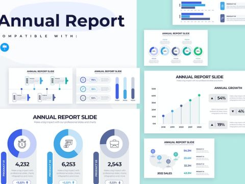 Business Annual Report Keynote Infographics HFSW8HE